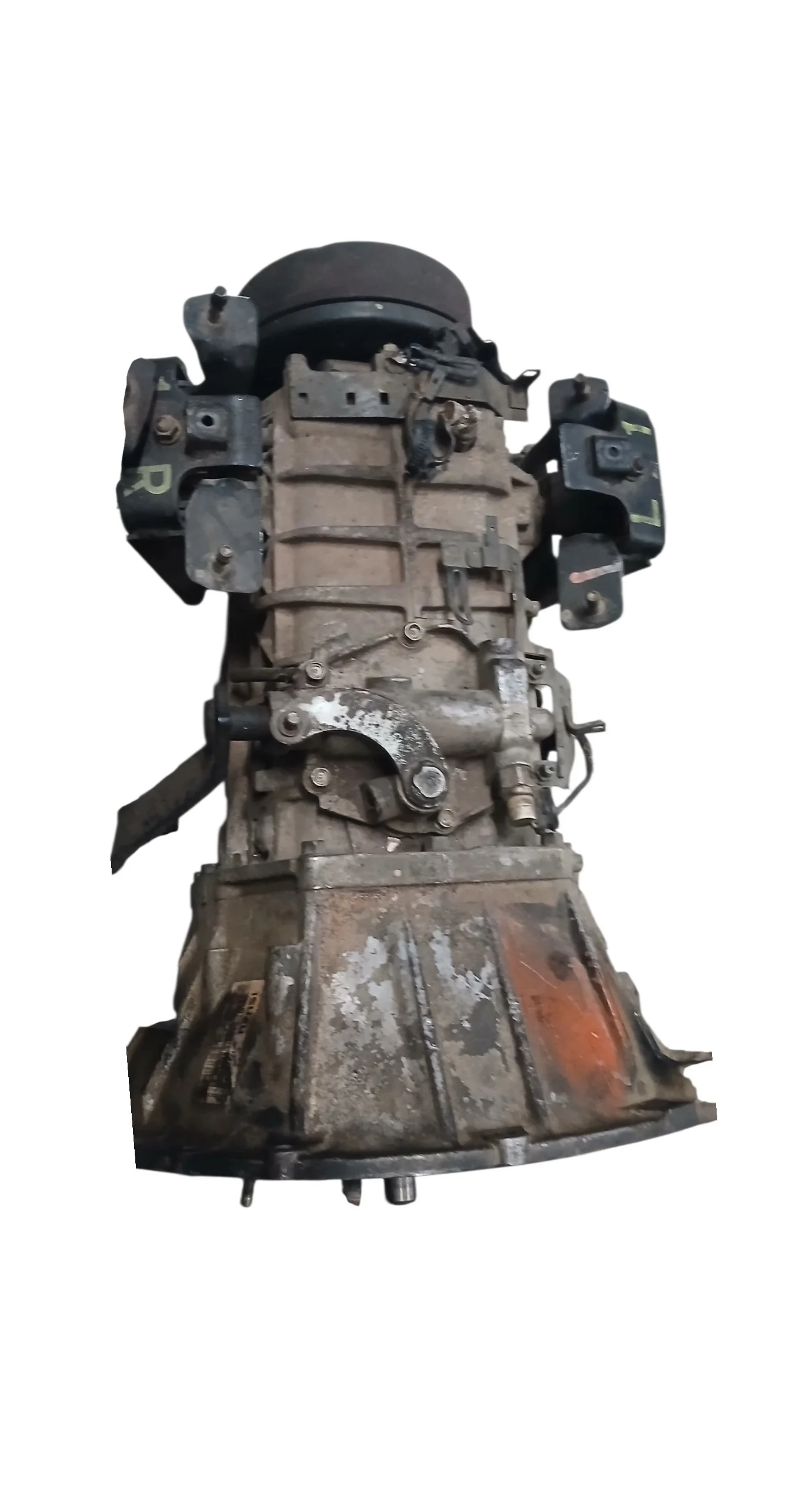 Miniatura 2